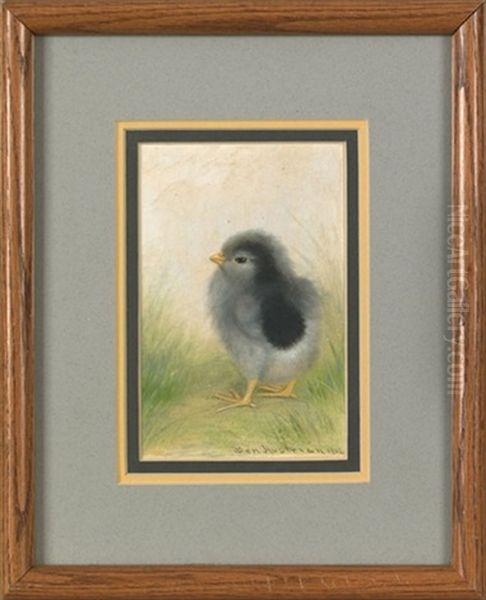 A Single Chick Oil Painting by Ben Austrian