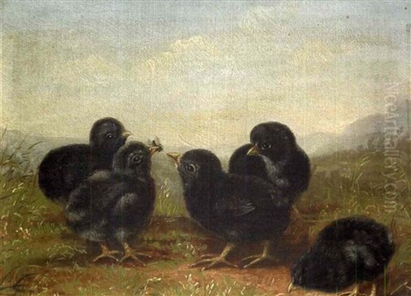 Five Black Chicks by Ben Austrian