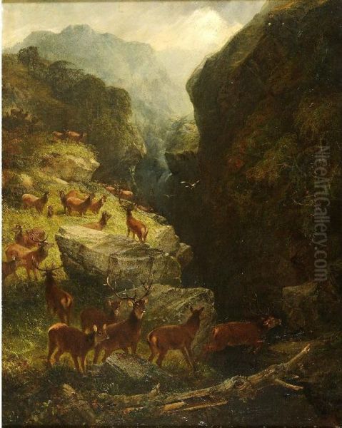 Deer In A Highland Glen Oil Painting by Joseph Adam