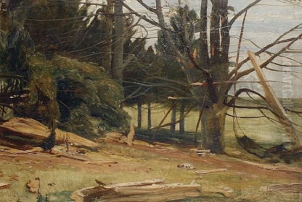 A Woodland Clearing Oil Painting by Joseph Denovan Adam