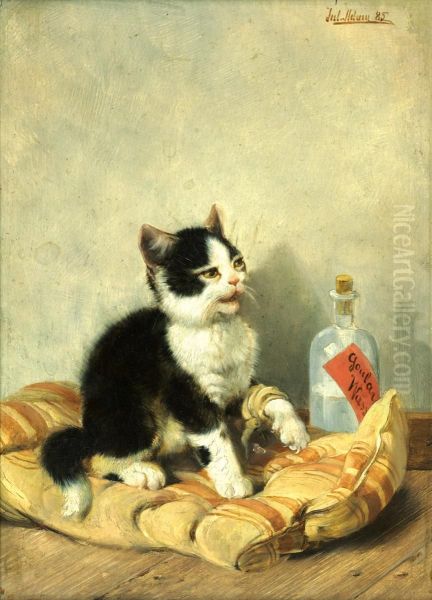 Der Kleine Patient Oil Painting by Julius I Adam