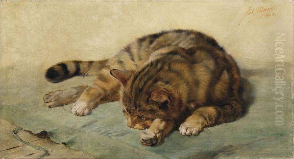 Liegende Katze Oil Painting by Julius Adam