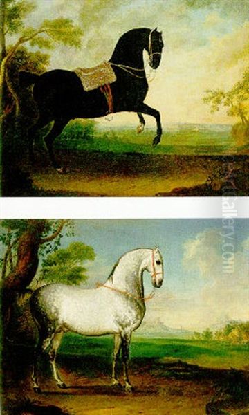 A Black Lipizzaner Stallion Oil Painting by Leopold Axtmann