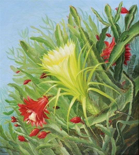 Fleurs De Cactus Oil Painting by Alfrida Baadsgaard