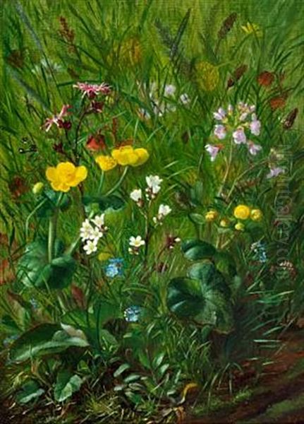 Forest Floor With Summer Flowers Oil Painting by Alfrida Baadsgaard