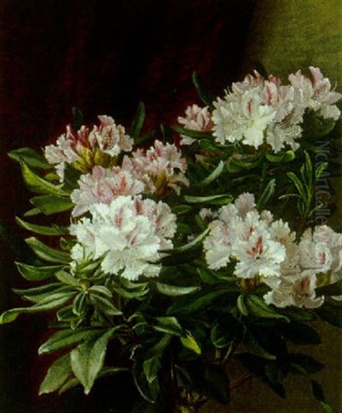 Opstilling Med Hvid Og Lyserod Rhododendronbusk Oil Painting by Alfrida Baadsgaard