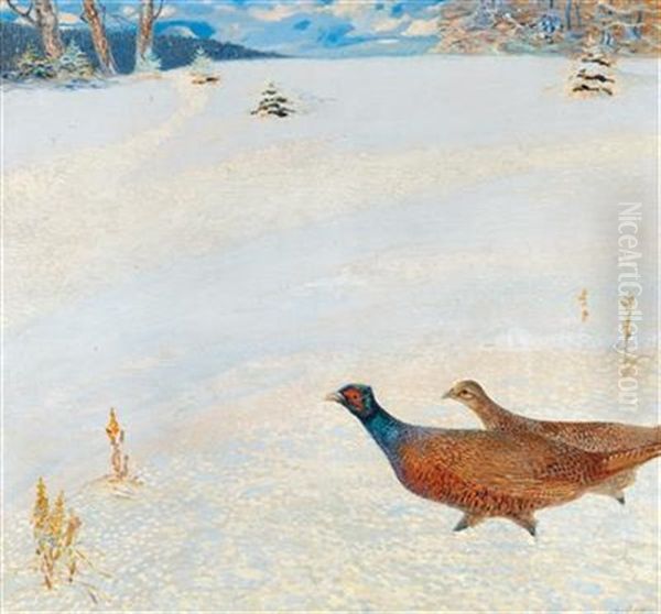 Pheasants In A Winter Landscape Oil Painting by Hugo Baar