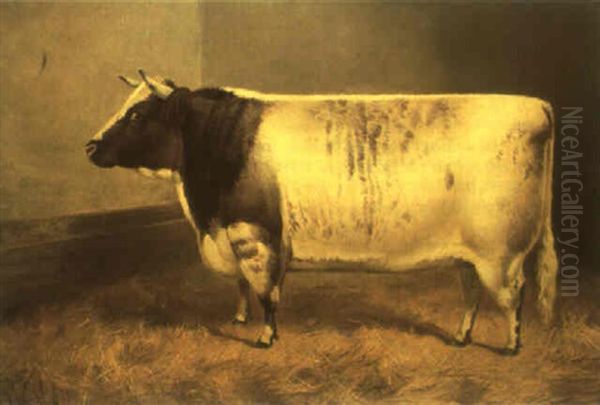 Princess Josephine 2nd, A Champion Cow, At Smithfield And Birmingham Oil Painting by Frank Babbage