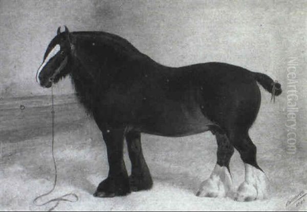 A Dark, Bay Shire Horse In A Stable Interior Oil Painting by Frank Babbage