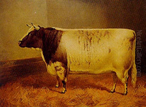 Princess Josephine 2nd, A Champion Cow, At Smithfield And Birmingham Oil Painting by Frank Babbage