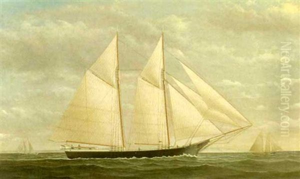 Yacht In Full Sail Oil Painting by James Gardner Babbidge