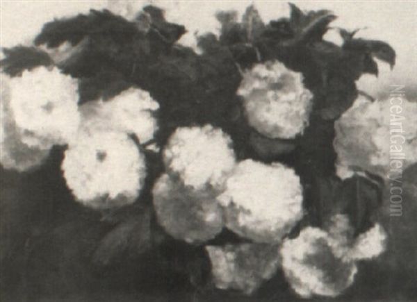 Hydrangeas Oil Painting by William P. Babcock