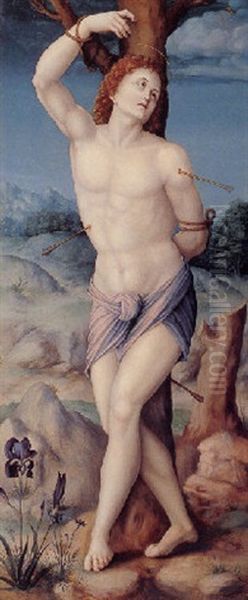 Saint Sebastian Oil Painting by  Bacchiacca