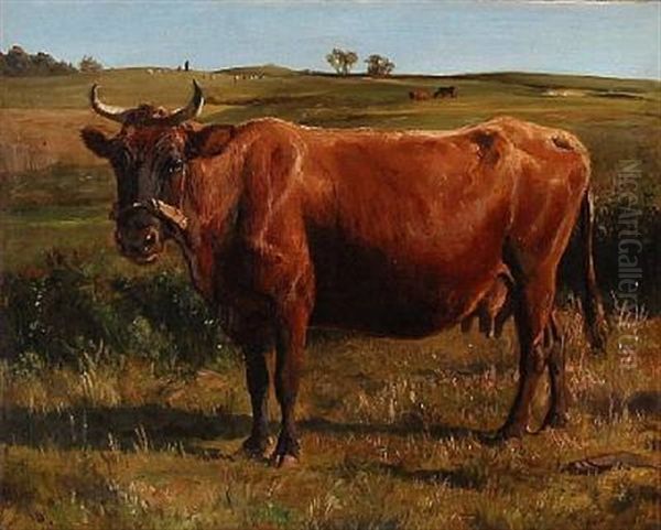 A Red Cow In The Field Oil Painting by Otto Bache