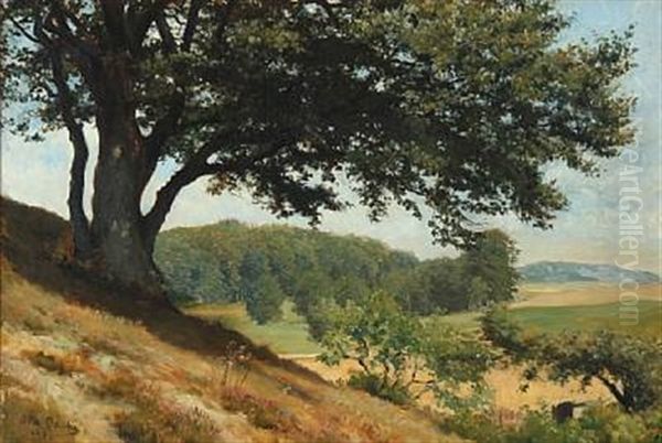 Hilly Danish Summer Landscape Oil Painting by Otto Bache