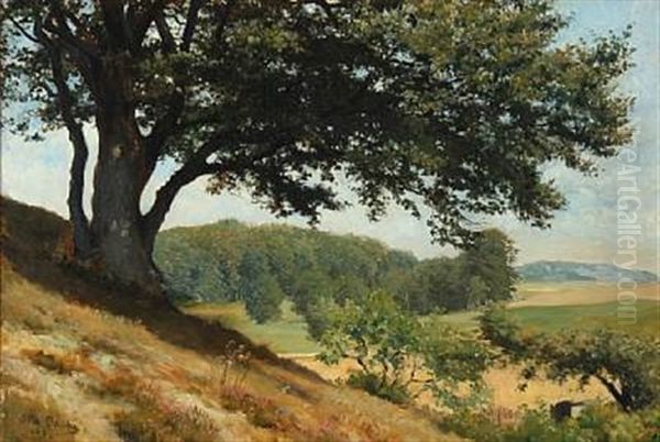 Hilly Danish Summer Landscape Oil Painting by Otto Bache