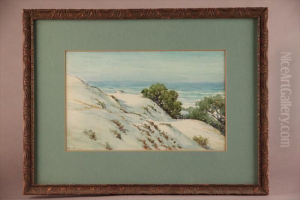 California Sand Dunes Oil Painting by William Adam