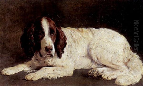 Liggende Spaniel Oil Painting by Otto Bache