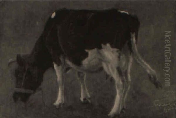 Study Of A Cow Grazing Oil Painting by Otto Bache