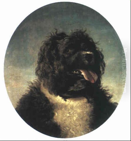 Tete De Chien Oil Painting by Jean-Jacques Bachelier