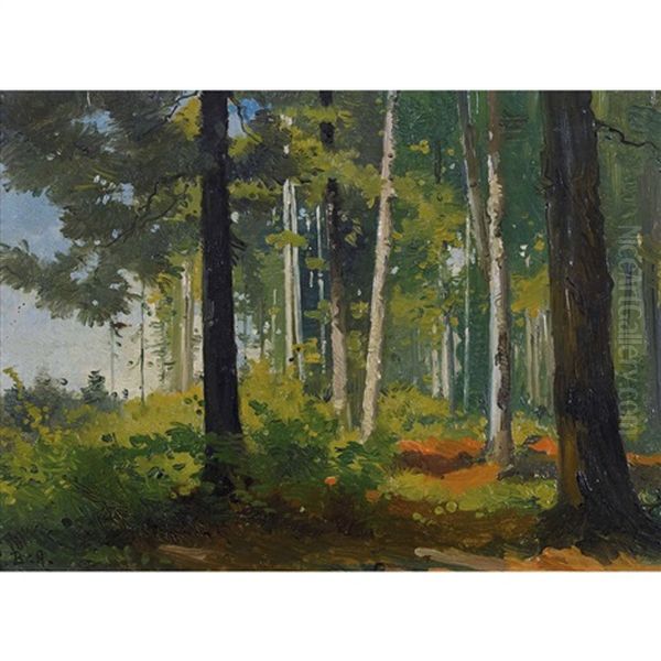 Foret De Sapin Oil Painting by Auguste Bachelin