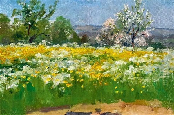 Sommerwiese Oil Painting by Hans Bachmann