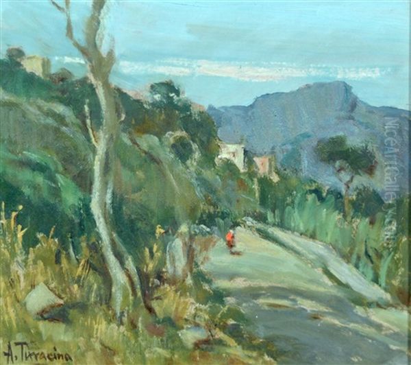 Scorcio Di Campagna Oil Painting by Terracina Arturo Bacio