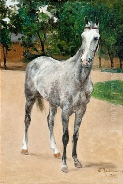 The Gray Horse by Hugo Backmansson