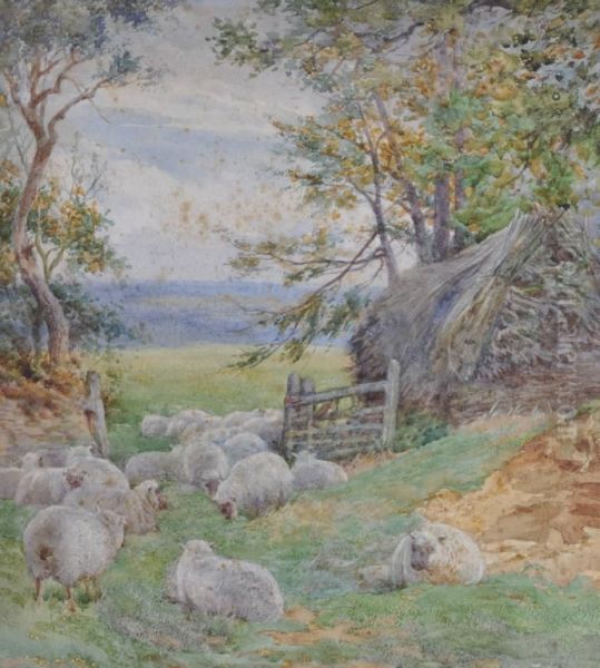 Sheep By A Gateway Oil Painting by Charles James Adams