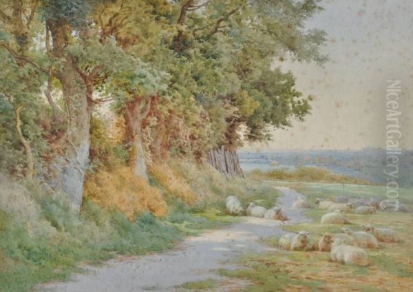 Watercolour, 
Sheep At The Edge Of The Field Oil Painting by Charles James Adams