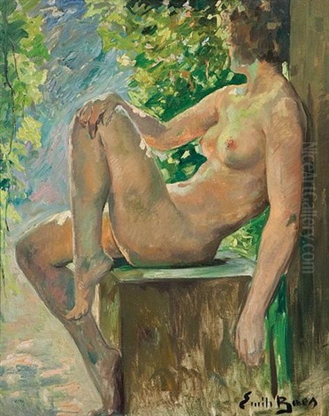 Nude In The Sun Oil Painting by Emile Baes