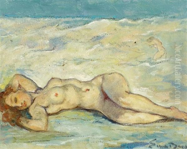 Weiblicher Akt Am Meer Oil Painting by Emile Baes