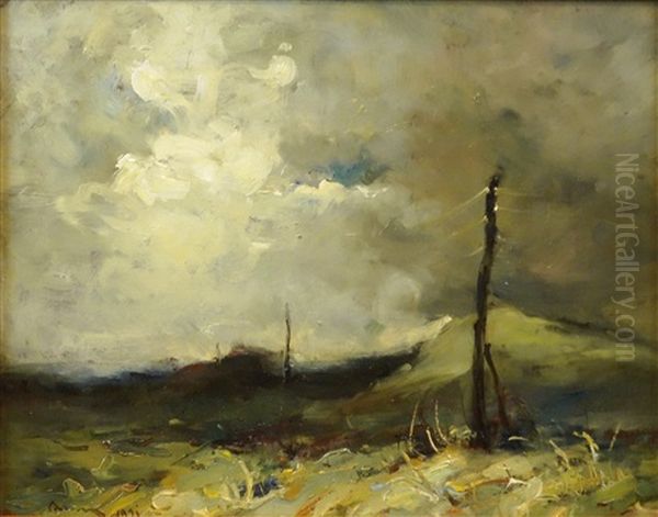 Stormy Sky Oil Painting by Aurel Baesu