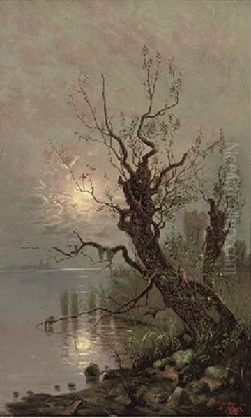 A Tree On The Banks Of A Moonlit Lake Oil Painting by Anatolii Pavlovich Baev