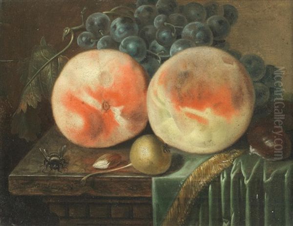 A Pair Of Still Lifes Oil Painting by Johann Daniel Bager