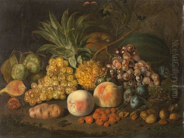 Still Life With Fruit Oil Painting by Johann Daniel Bager