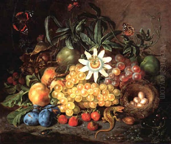 Fruchtstilleben Mit Vogelnest, Eidechse Und Schmetterling Oil Painting by Johann Daniel Bager