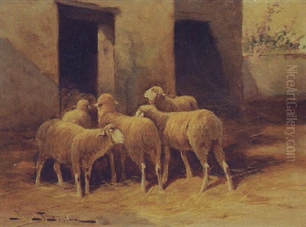 Flock Of Sheep In The Barnyard Oil Painting by Jules Bahieu