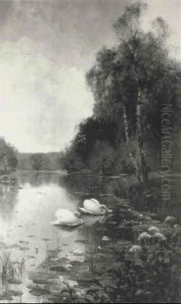 Swans Feeding At A Riverbank Oil Painting by Albert E. Bailey