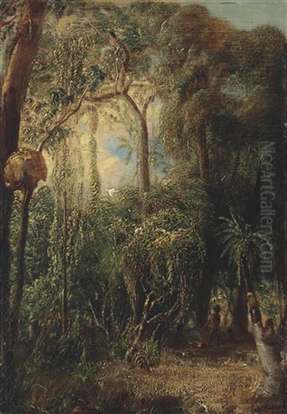 An Australian Rainforest With An Aboriginal Camp, Sulphur-crested Cockatoos, Parakeets And Other Birds In The Canopy Oil Painting by John Thomas Baines