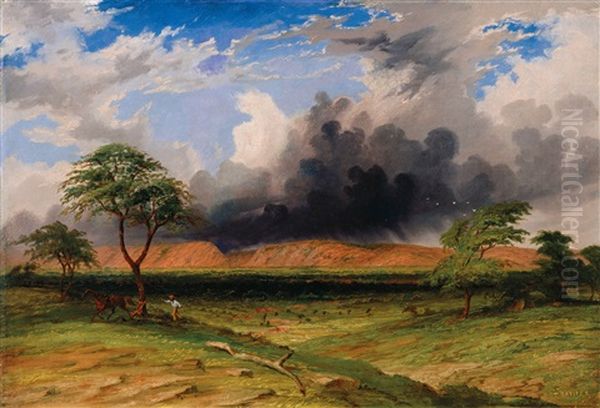 Gorge Of The Southern Branch Of Depot Creek And The Plain Over Which It Flows Oil Painting by John Thomas Baines