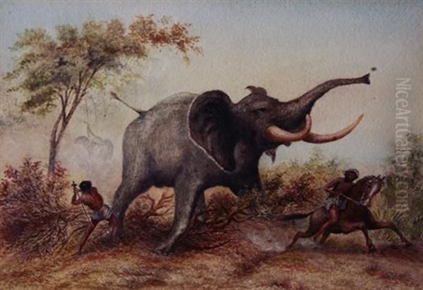 Elephant Hunting In Abyssinia Oil Painting by John Thomas Baines