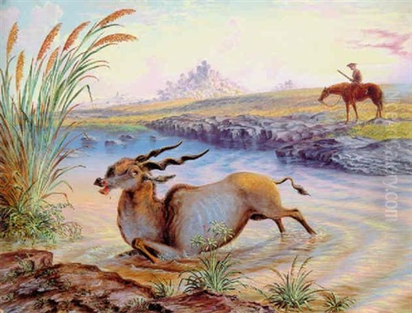 Eland Killed In Mangwe River, Matabili Land, August 5 1871 Oil Painting by John Thomas Baines