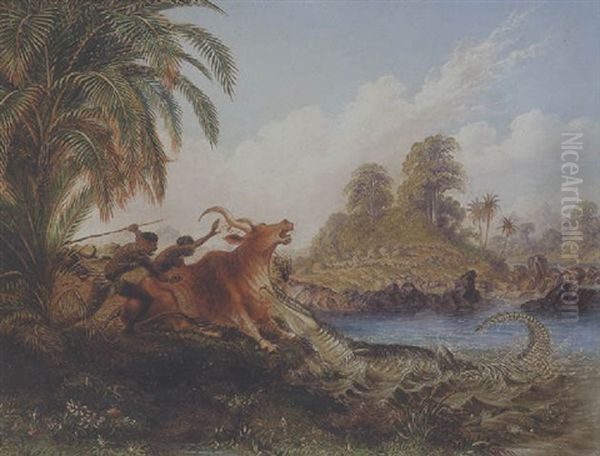 Trek Ox Seized By A Crocodile While Drinking In The Limpopo Oil Painting by John Thomas Baines