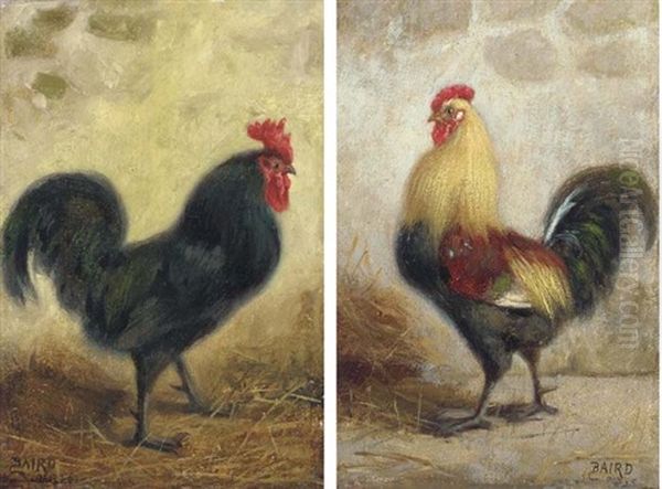 Cockerels (pair) Oil Painting by William Baptiste Baird