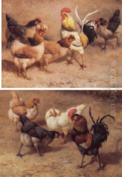 Cockerel And Hens Oil Painting by William Baptiste Baird