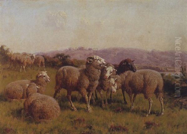 Sheep (no.4) Oil Painting by William Baptiste Baird