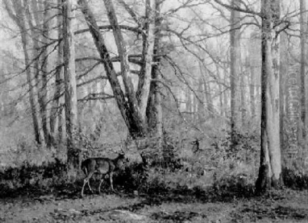 Deer In An Autumn Wood Oil Painting by William Baptiste Baird