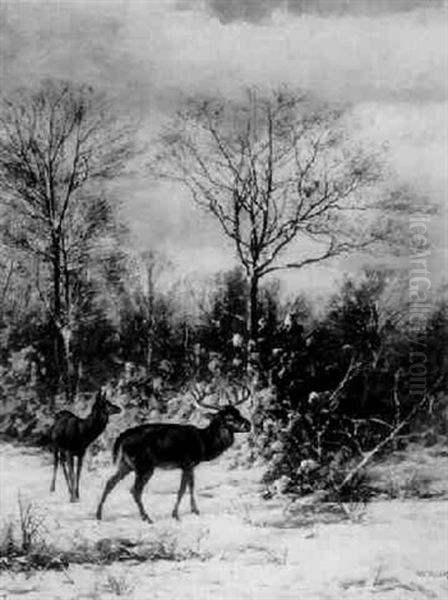 Deer In A Winter Wooded Landscape Oil Painting by William Baptiste Baird