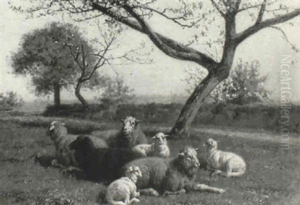 Sheep Resting Under Blossom Oil Painting by William Baptiste Baird